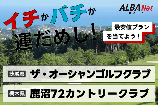 イチかバチか運試し「最安値プラン」を当てよう！